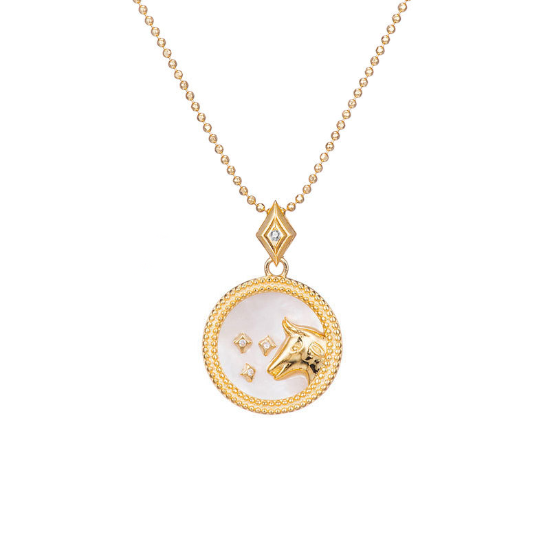 Zodiac constellation sterling silver necklace - JEMORI