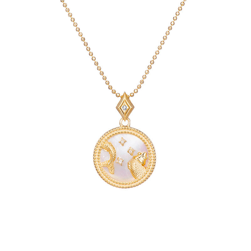 Zodiac constellation sterling silver necklace - JEMORI